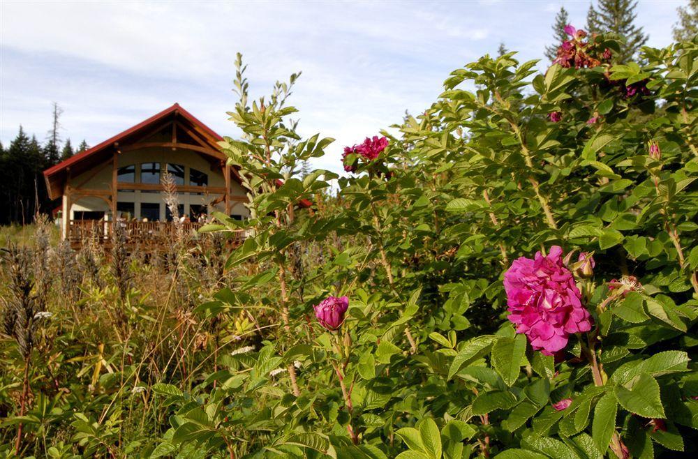Heather Mountain Lodge Rogers Pass المظهر الخارجي الصورة